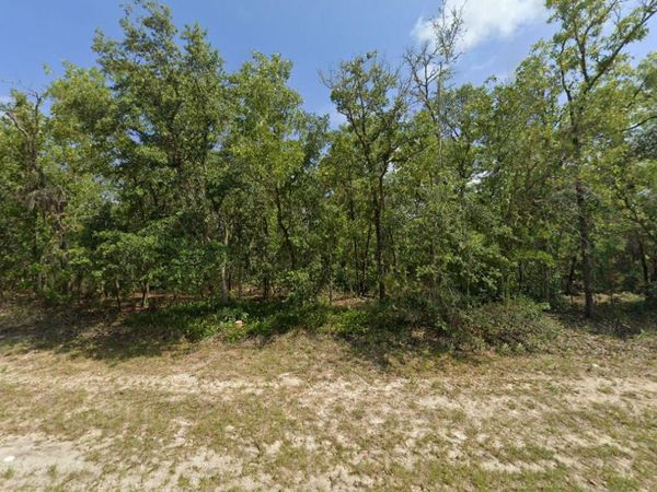 Tbd SW 72nd Circle, Dunnellon, FL 34432