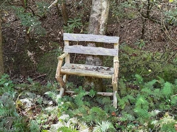 60 Jonathan Drive, Lowgap, NC 27024