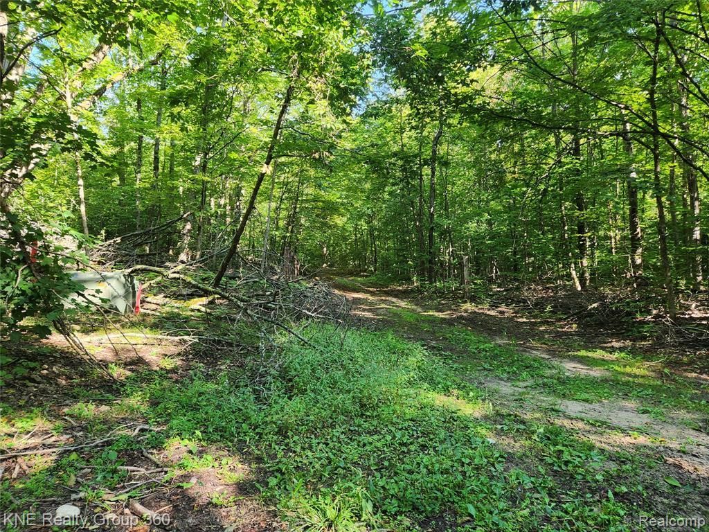 44.852916/-84.742739, Frederic Township, MI 49733 Main Photo