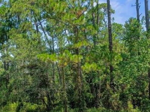 158 Orleans Drive, Dauphin Island, AL 36528