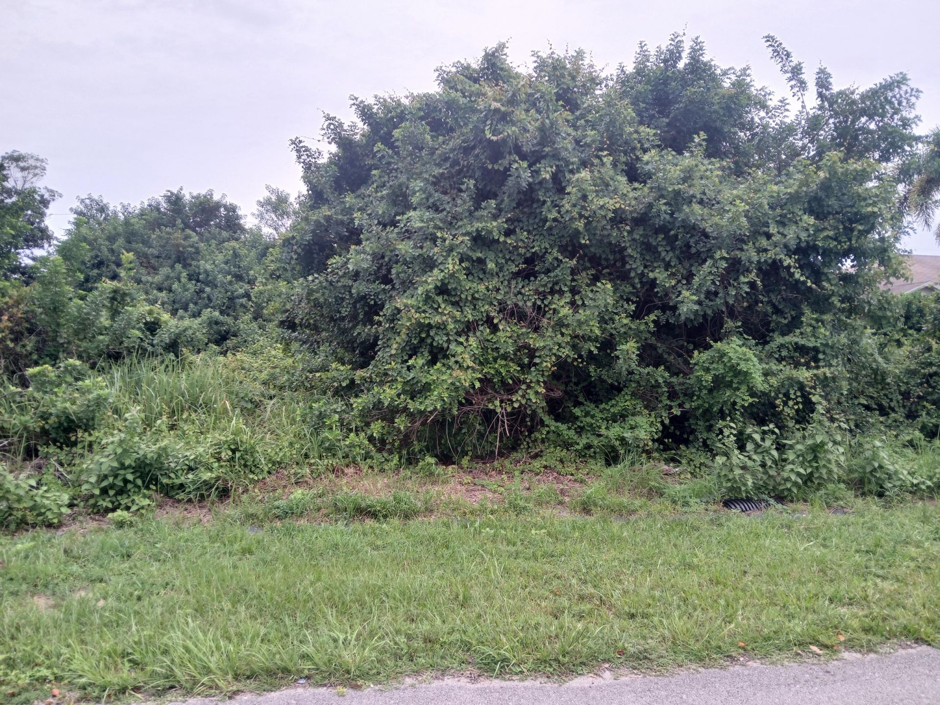 4437 SW Cacao Street, Port Saint Lucie, FL 34953 Photo