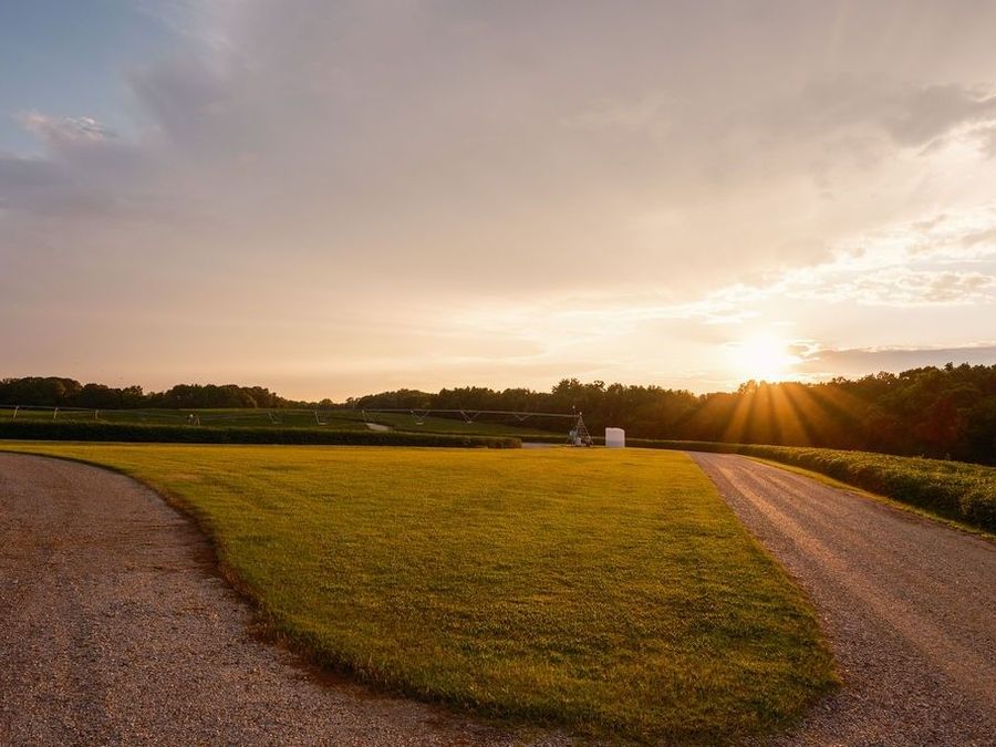Property Image 100