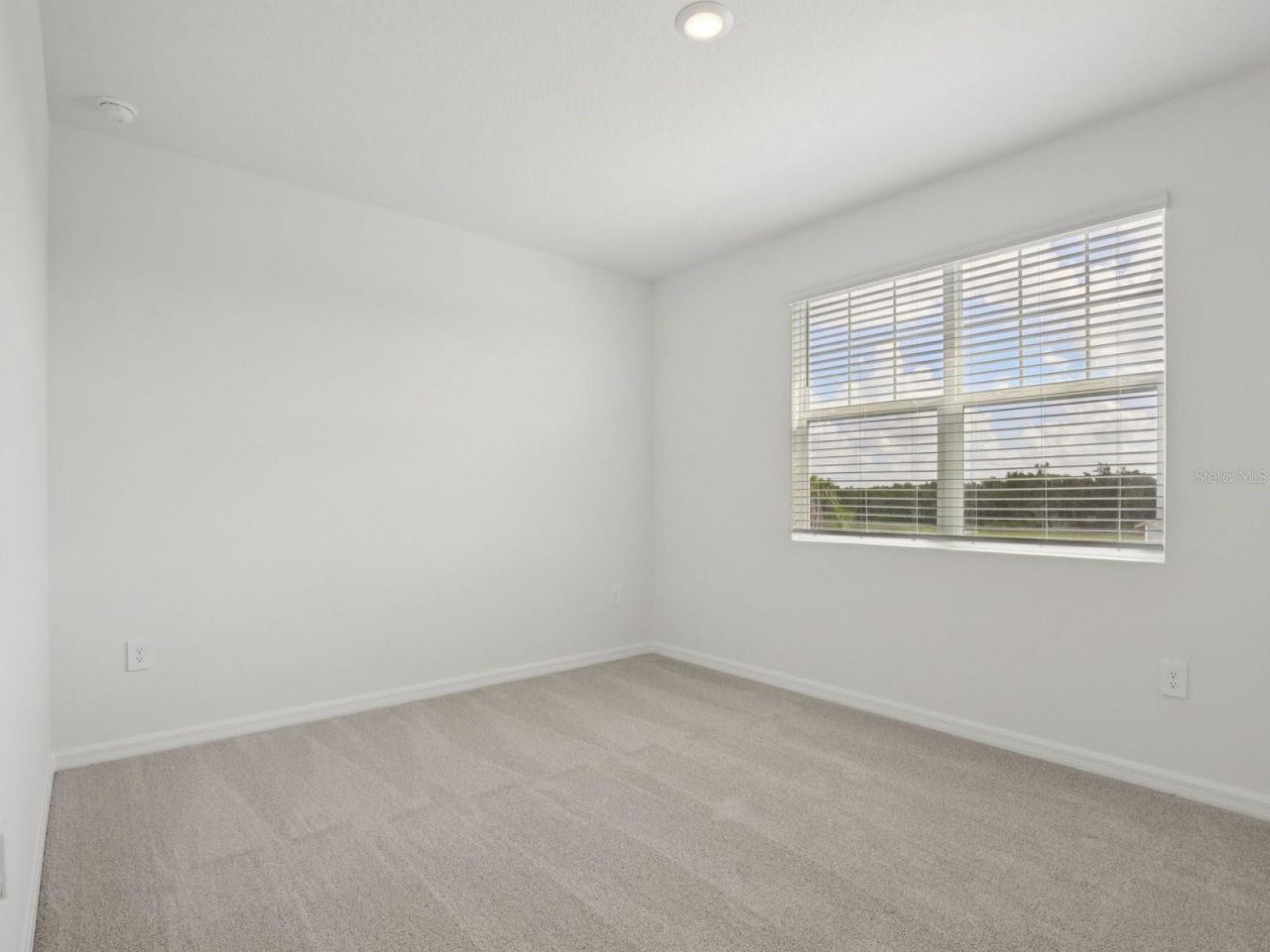 13319 Shellmore Avenue, Palmetto, FL 34221 Photo