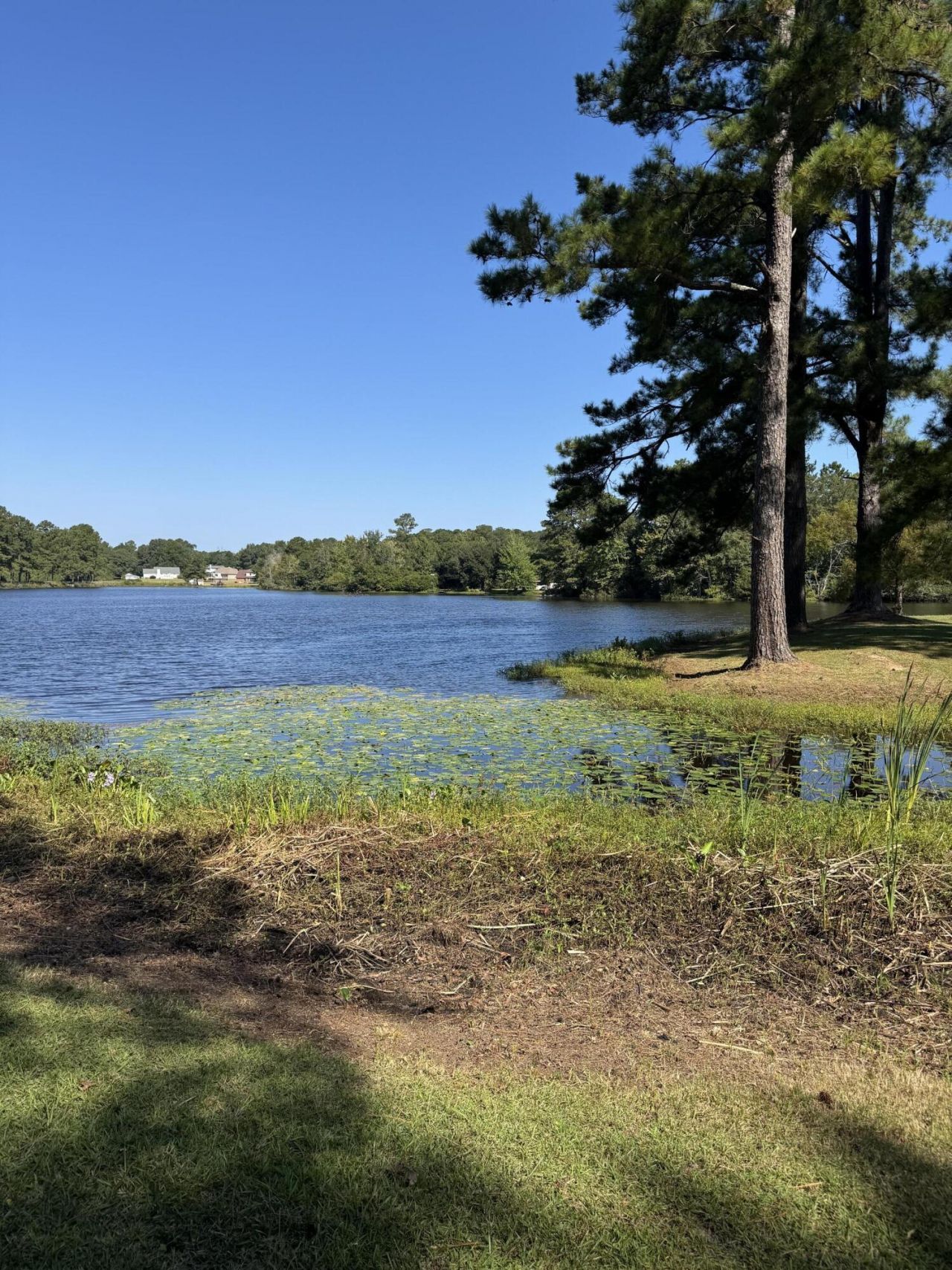 1332 Dogwood Drive Photo 4