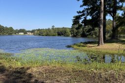 1332 Dogwood Drive photo 4