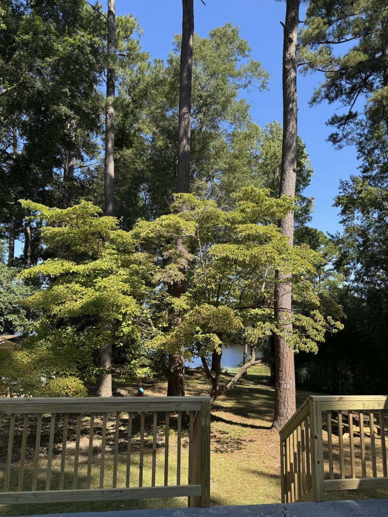 1332 Dogwood Drive Photo 6