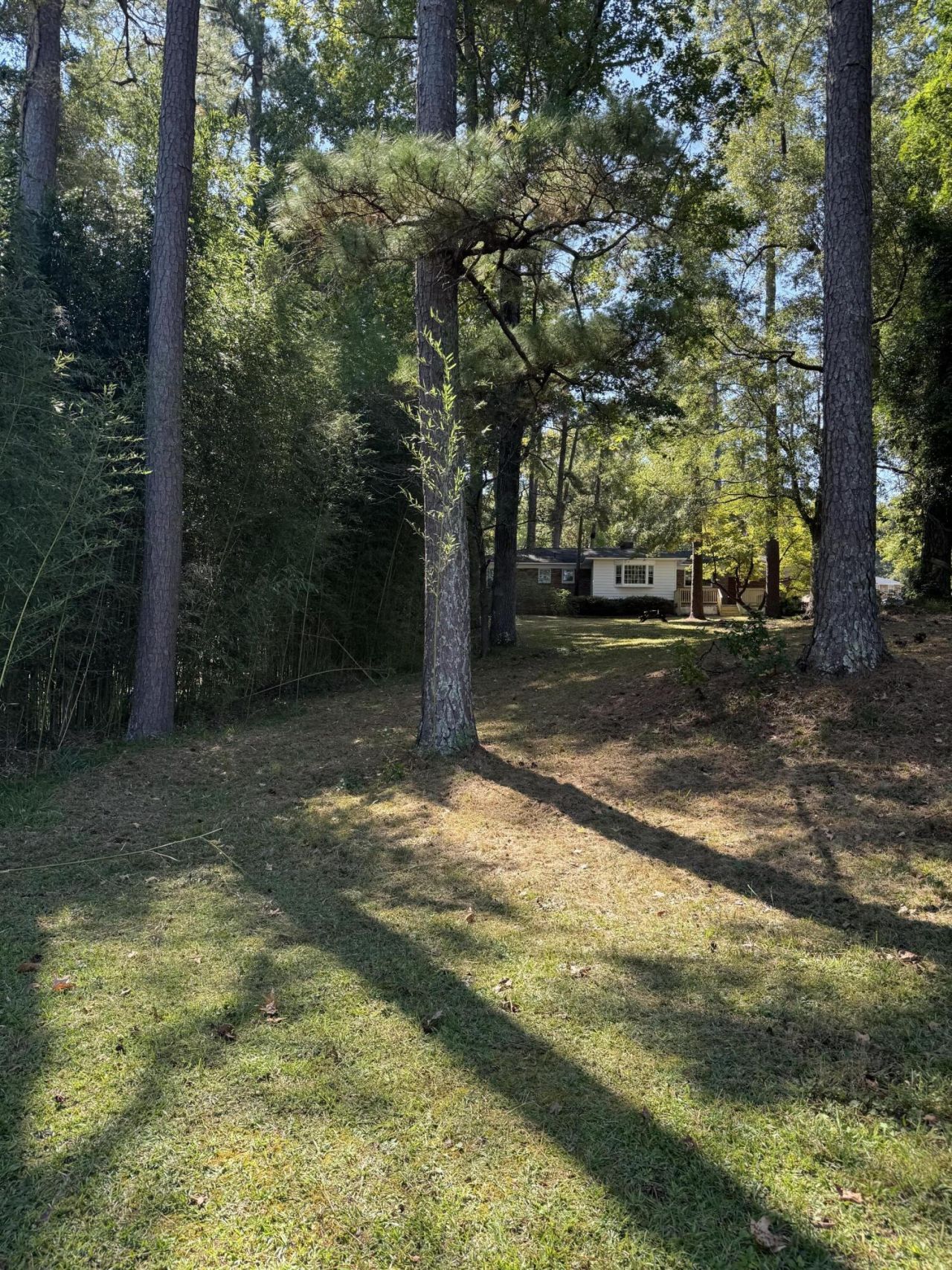 1332 Dogwood Drive Photo 7