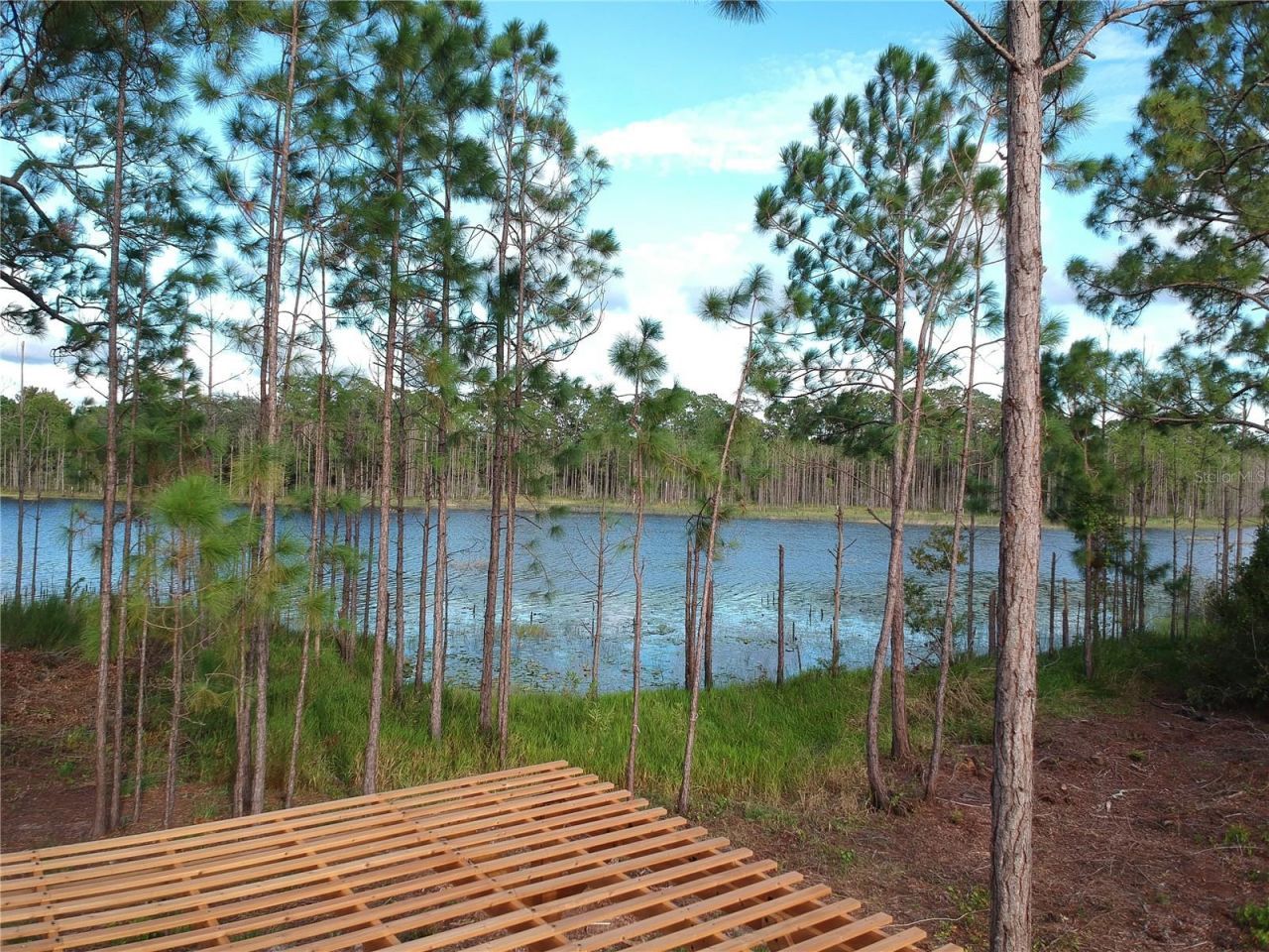 205 Rosedale Drive, Deltona, FL 32738 Photo