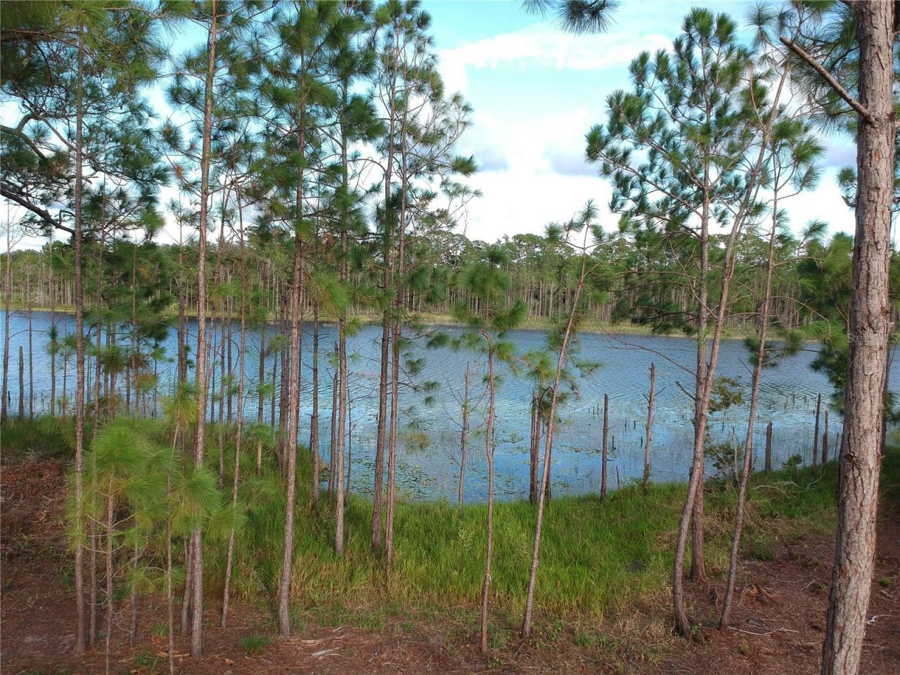 205 Rosedale Drive, Deltona, FL 32738 Photo