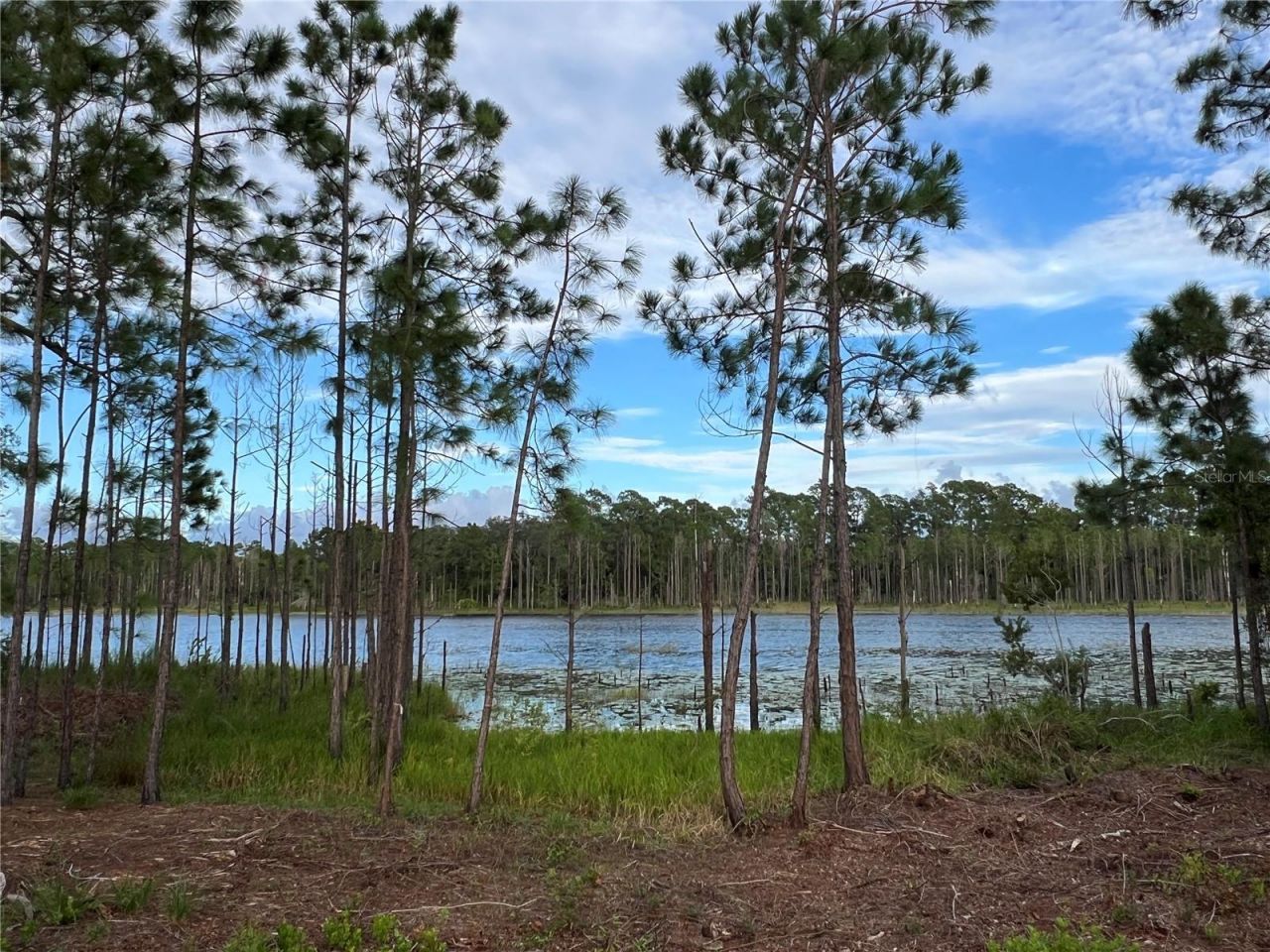 205 Rosedale Drive, Deltona, FL 32738 Photo