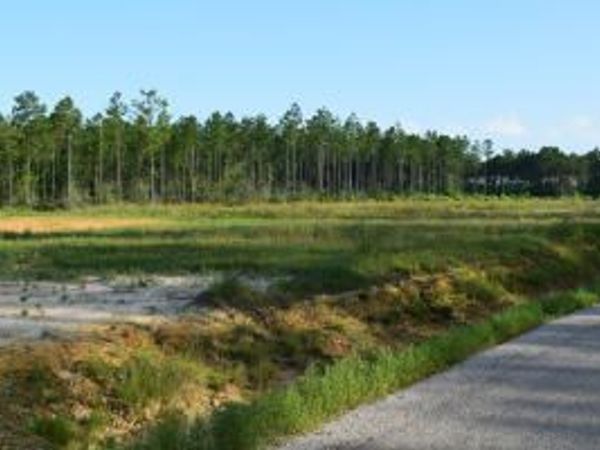 Goodeaux Rd Lot 6, Longville, LA 70652