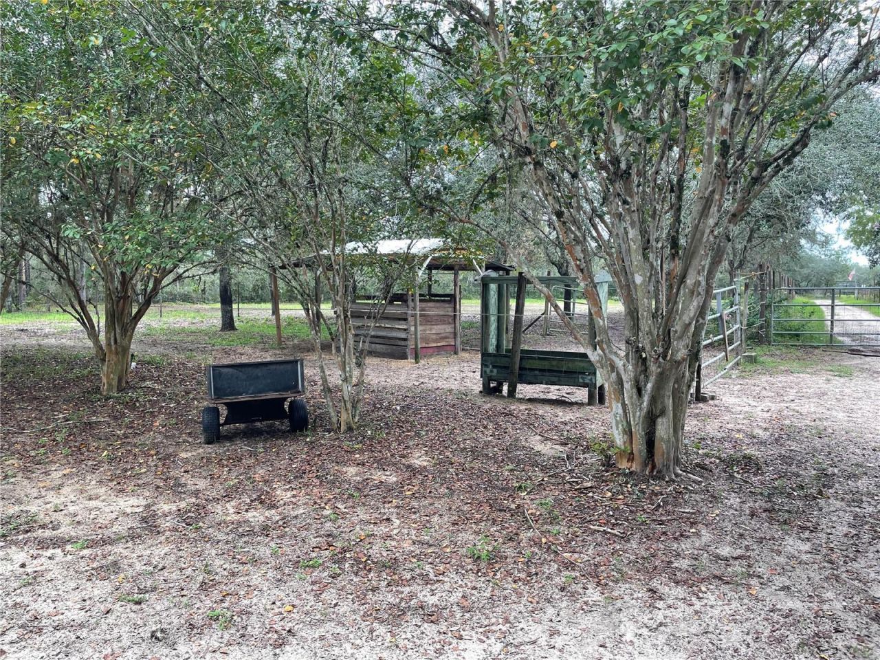 591 SE Fisher Road, Ocklawaha, FL 32179 Photo