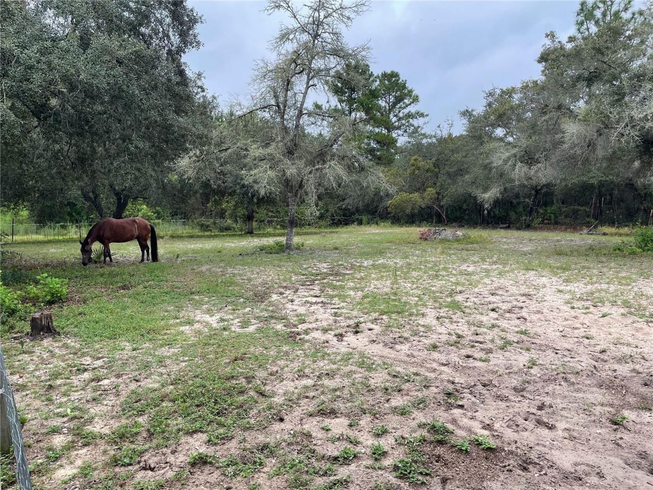 591 SE Fisher Road, Ocklawaha, FL 32179 Photo