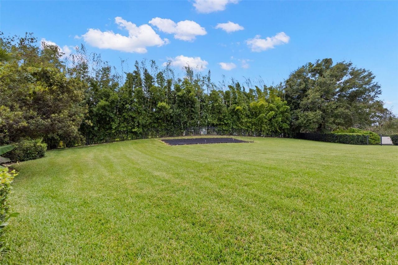 211 Rue Des Chateaux, Tarpon Springs, FL 34688 Photo