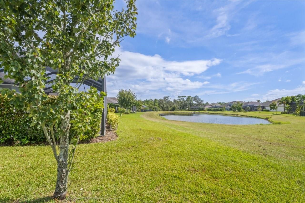 4232 Woodland Retreat Boulevard, New Port Richey, FL 34655 Photo