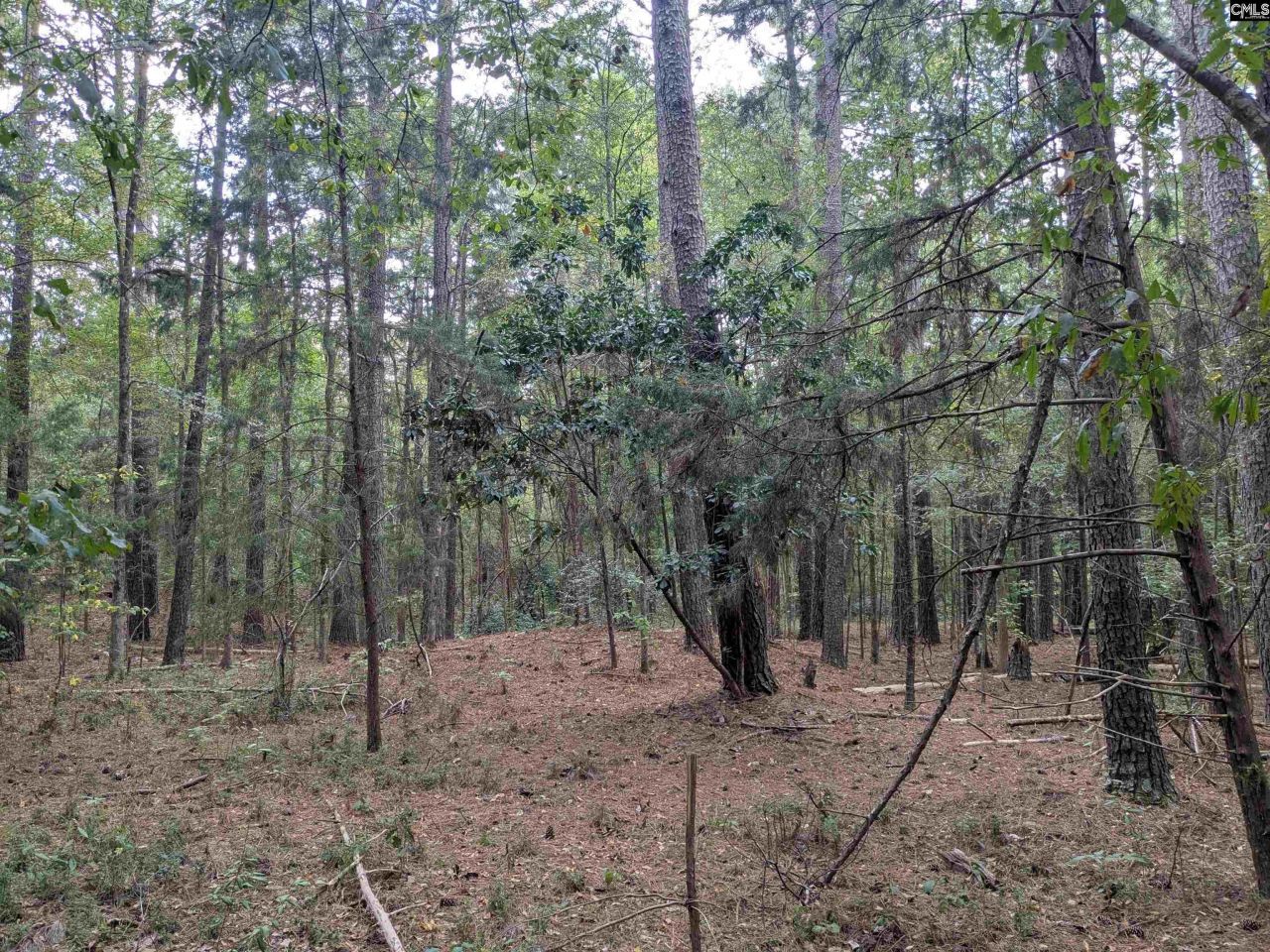 1236 Newberry Road Photo 19