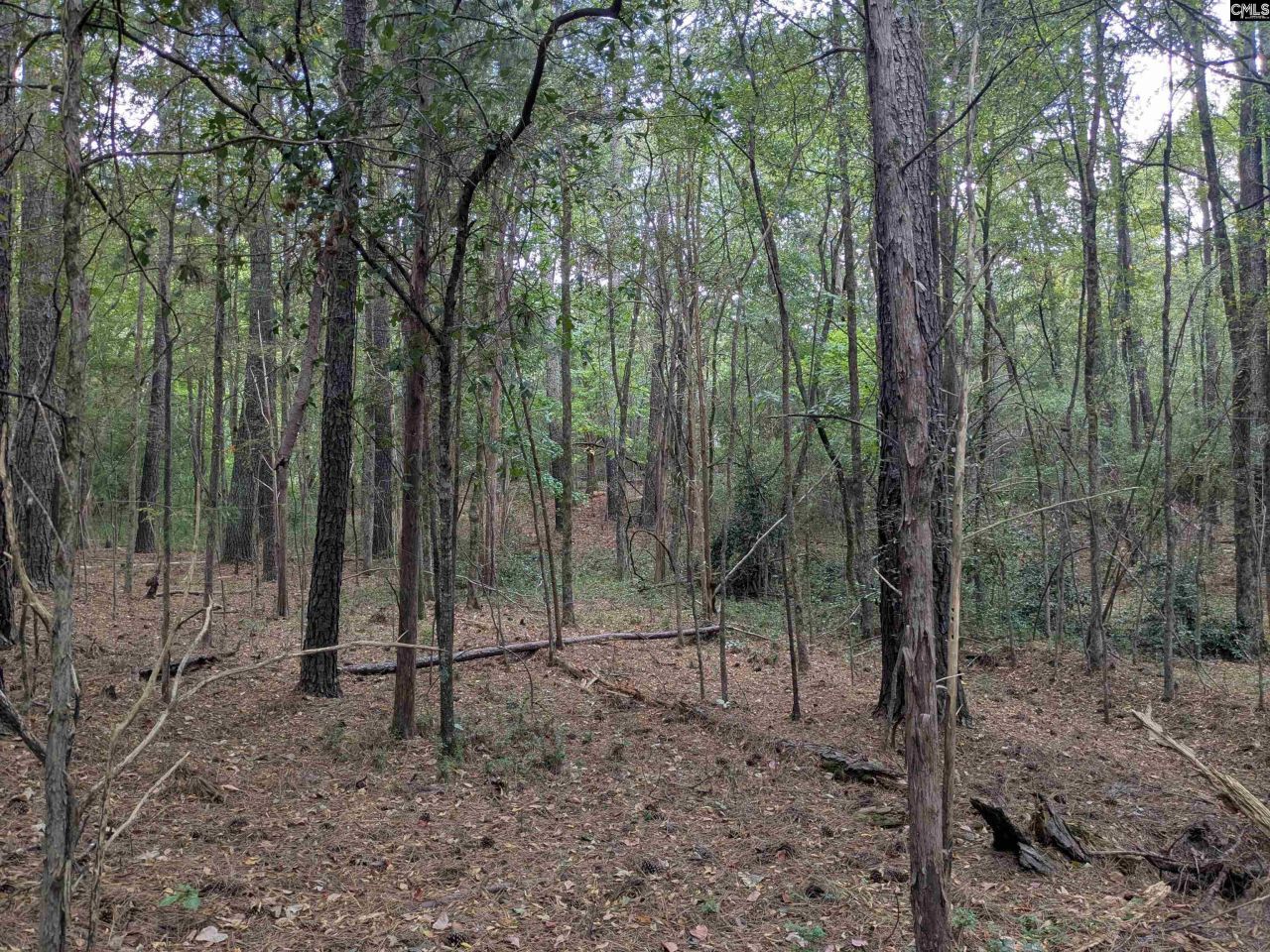 1236 Newberry Road Photo 21