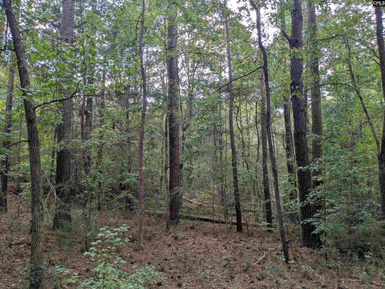 1236 Newberry Road Photo 23