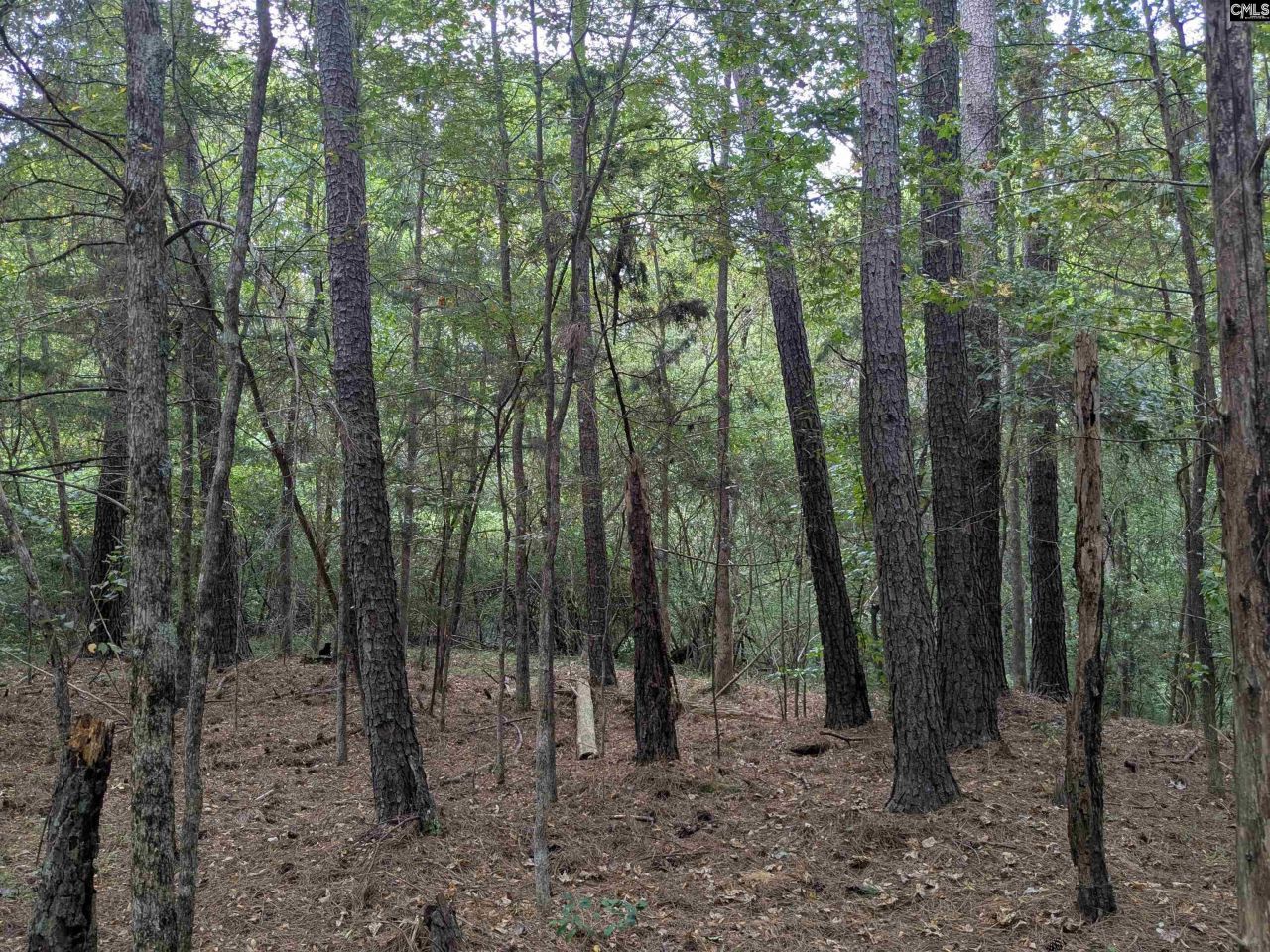 1236 Newberry Road Photo 25