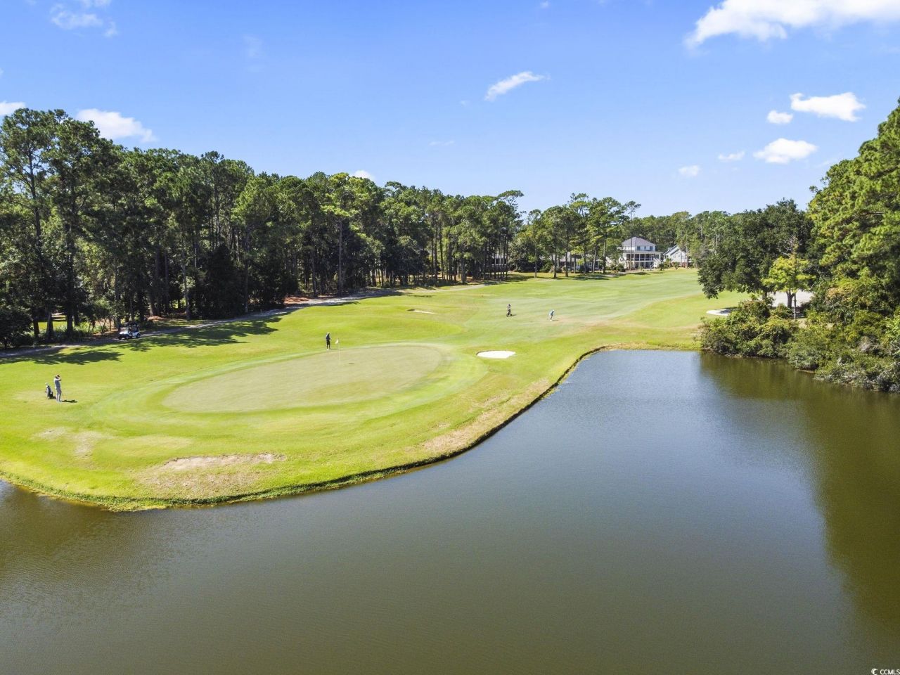 Lot 305 Wallace Pate Dr. Photo 10