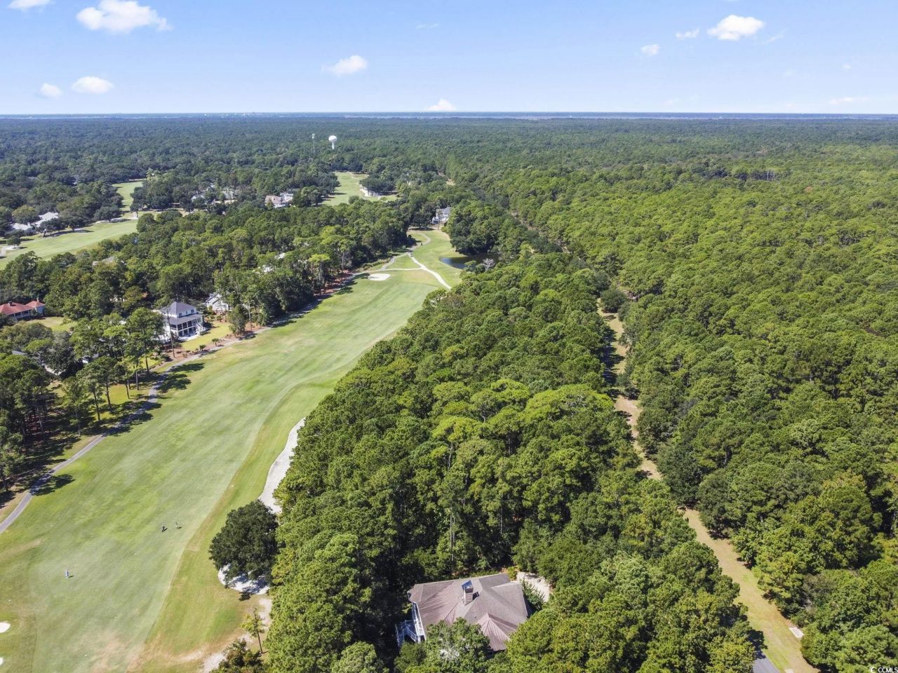 Lot 305 Wallace Pate Dr. Photo 11