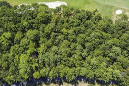 Lot 305 Wallace Pate Dr. photo 4