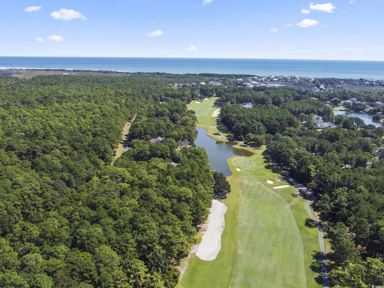 Lot 305 Wallace Pate Dr. Photo 5