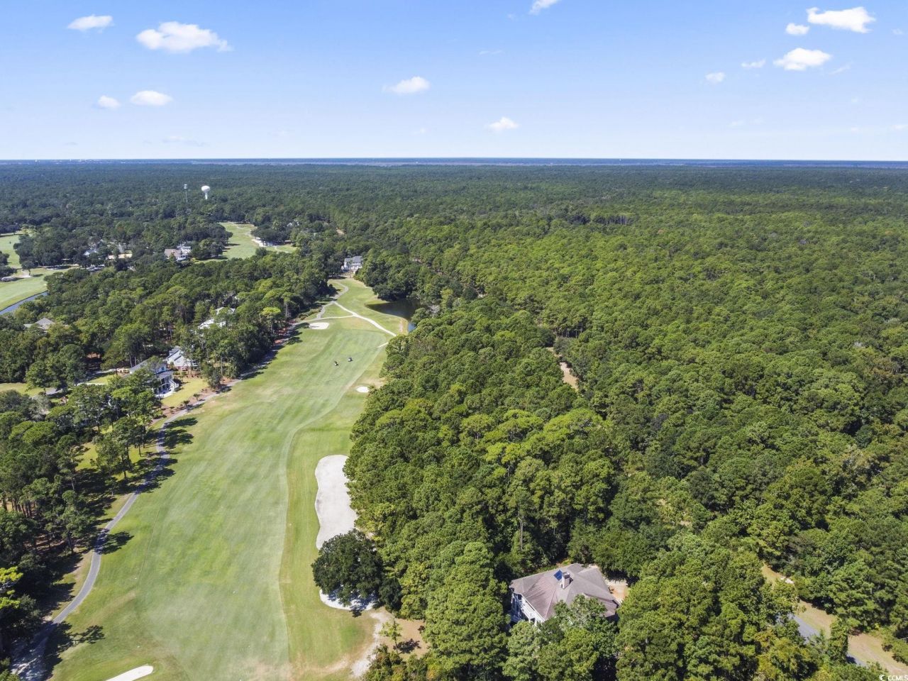 Lot 305 Wallace Pate Dr. Photo 9