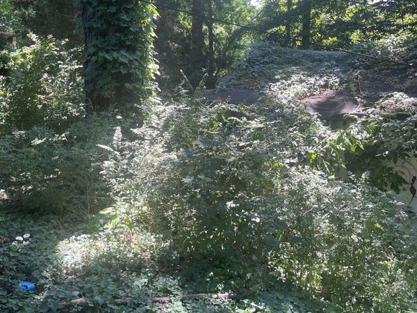 0 Shelby, Clarksville, TN 37042