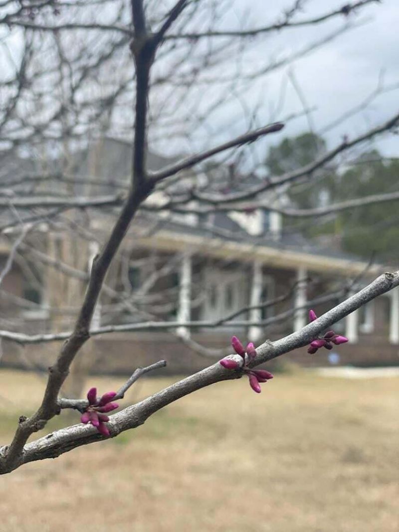 144 Bethlehem Road Photo 50