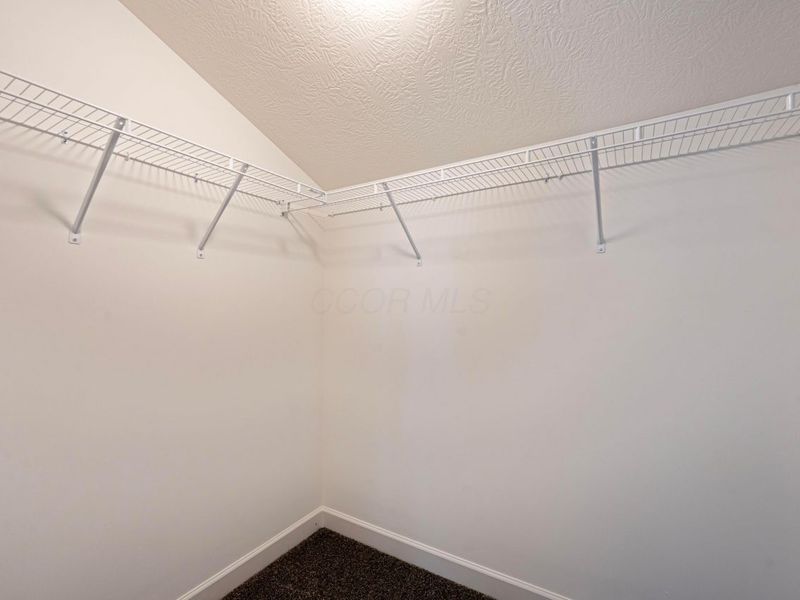 2854 Basil Drive, Delaware, OH 43015 Photo 32