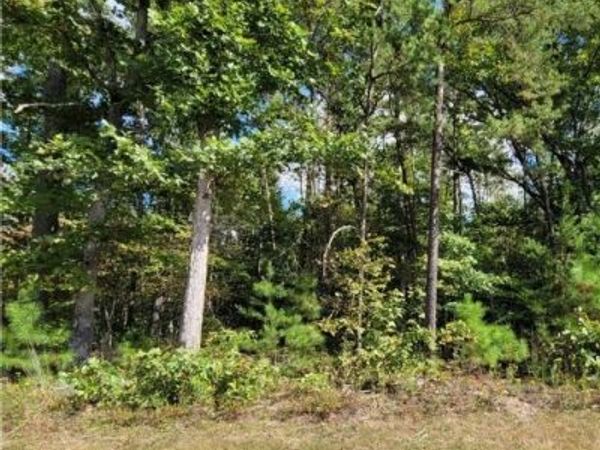 0 Narrow Path Trail, Beaverdam, VA 23015