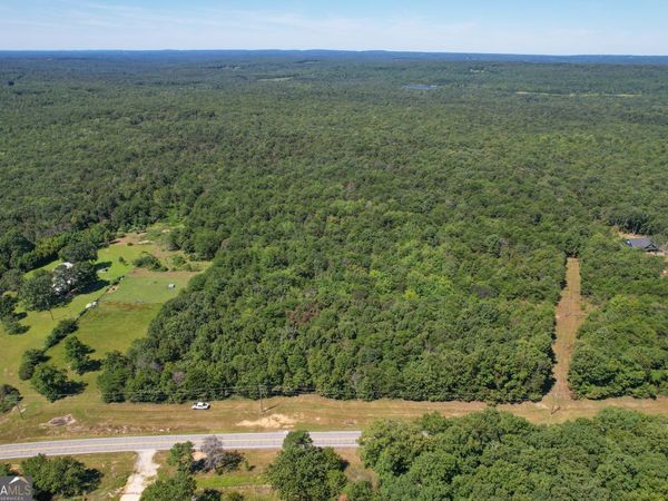 38 +/- Acres on GA Hwy 157, Menlo, GA 30731