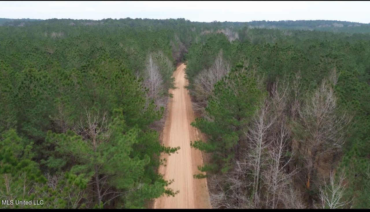 Mount Gilead Road, McCall Creek, MS 39647 Main Photo