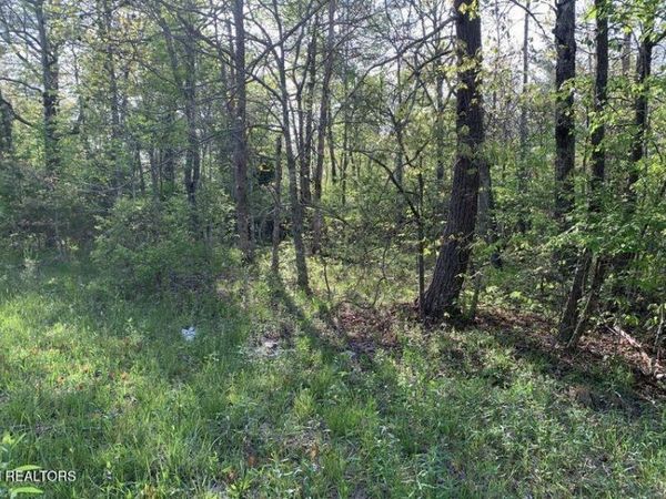 1035 Redwing Drive, Crossville, TN 38572