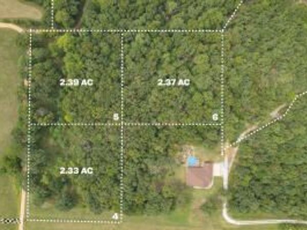 Lot 4-6 Lightning Bug Lane, Goodman, MO 64843