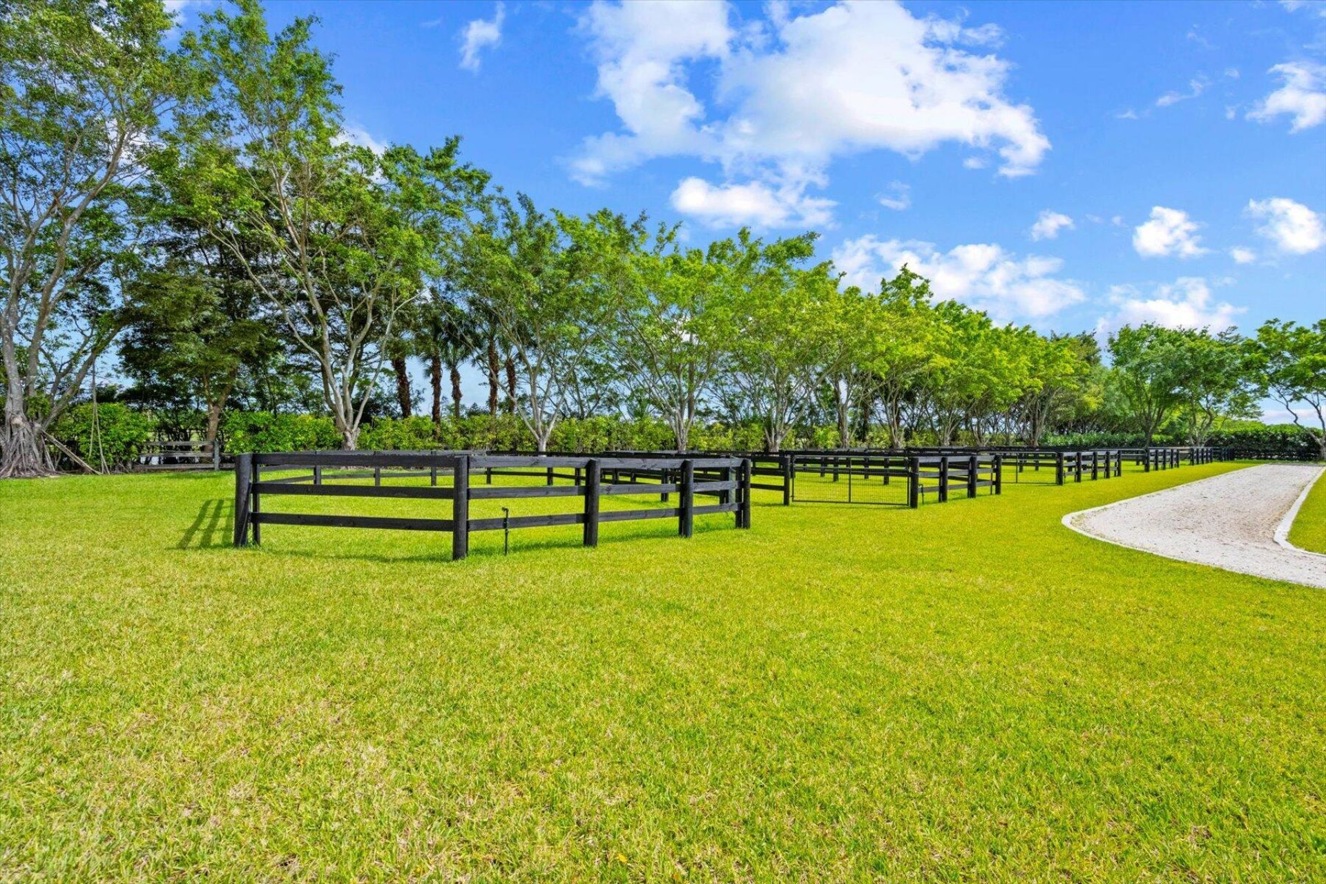 12995 Via Christina, Wellington, FL 33414 Photo