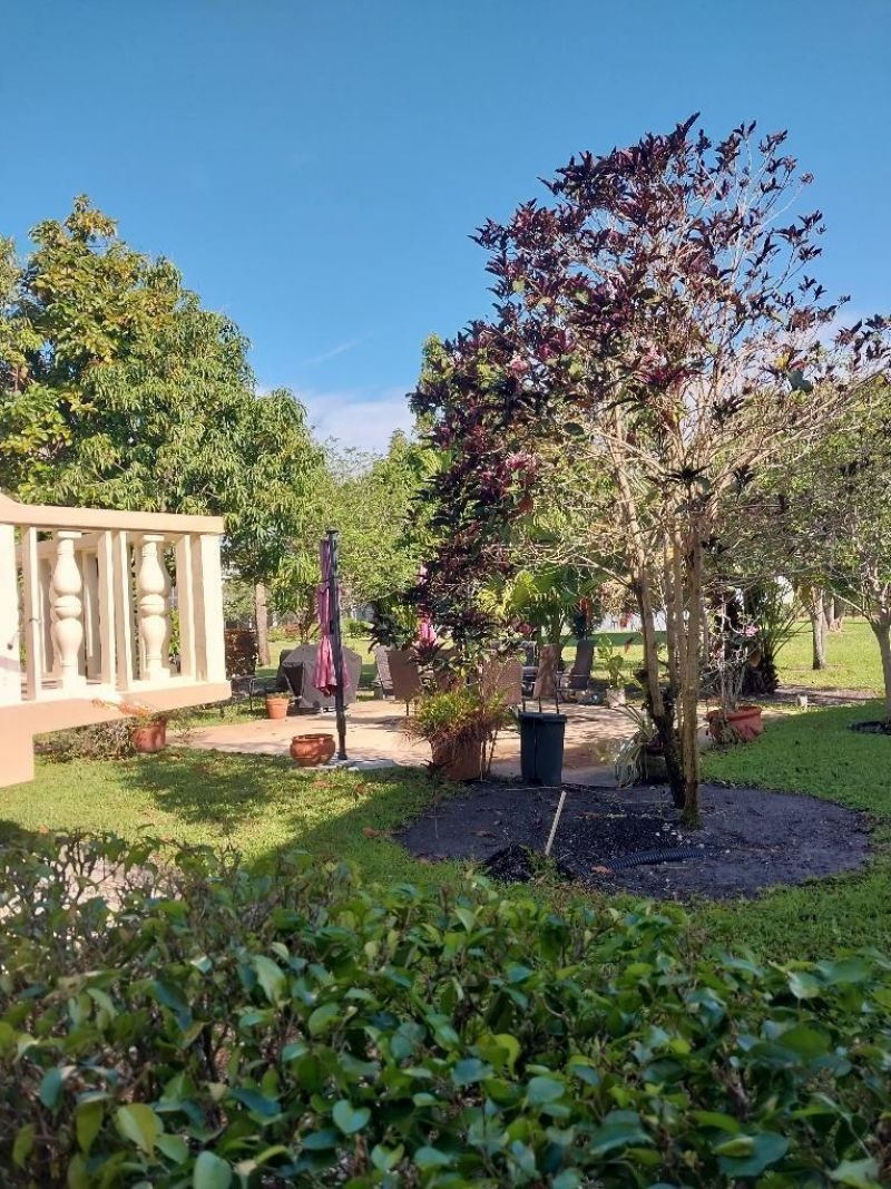 361 Windsor P, West Palm Beach, FL 33417 Photo