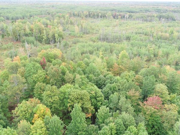 3022 Trombly Road, Maple Ridge Twp, MI 49880