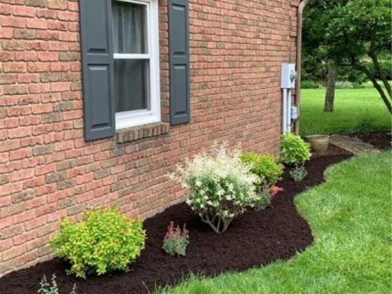 223 Tanglewood Drive, Dalton, OH 44618 Photo 16