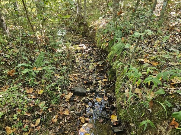 001 Gunnells Road, Jacksonville, AL 36265