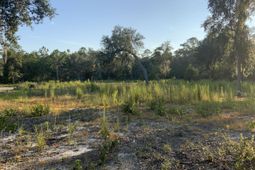 278 Dulamo Road photo 4