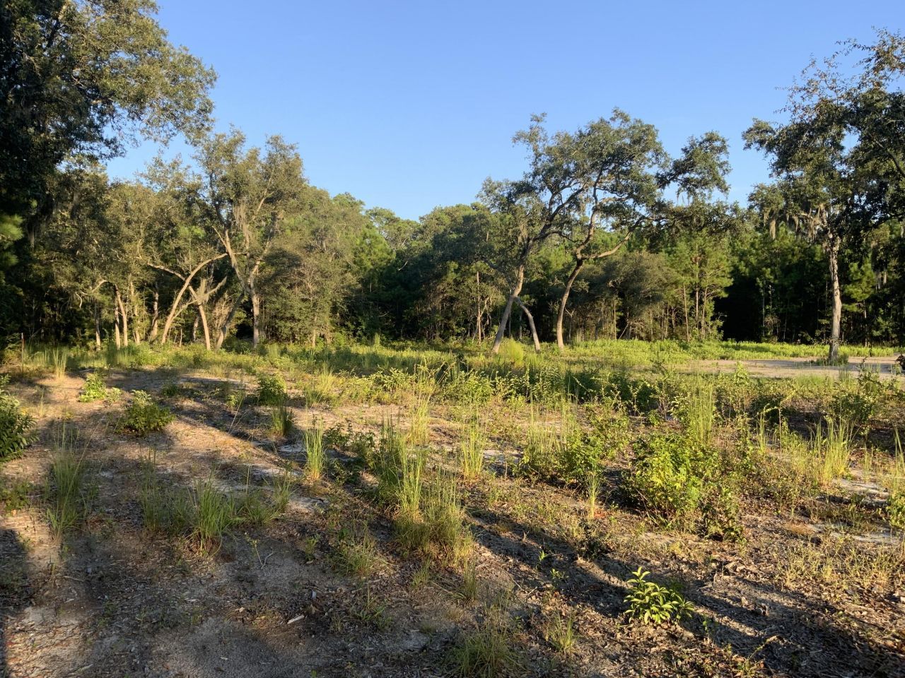 278 Dulamo Road Photo 4