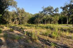 278 Dulamo Road photo 4