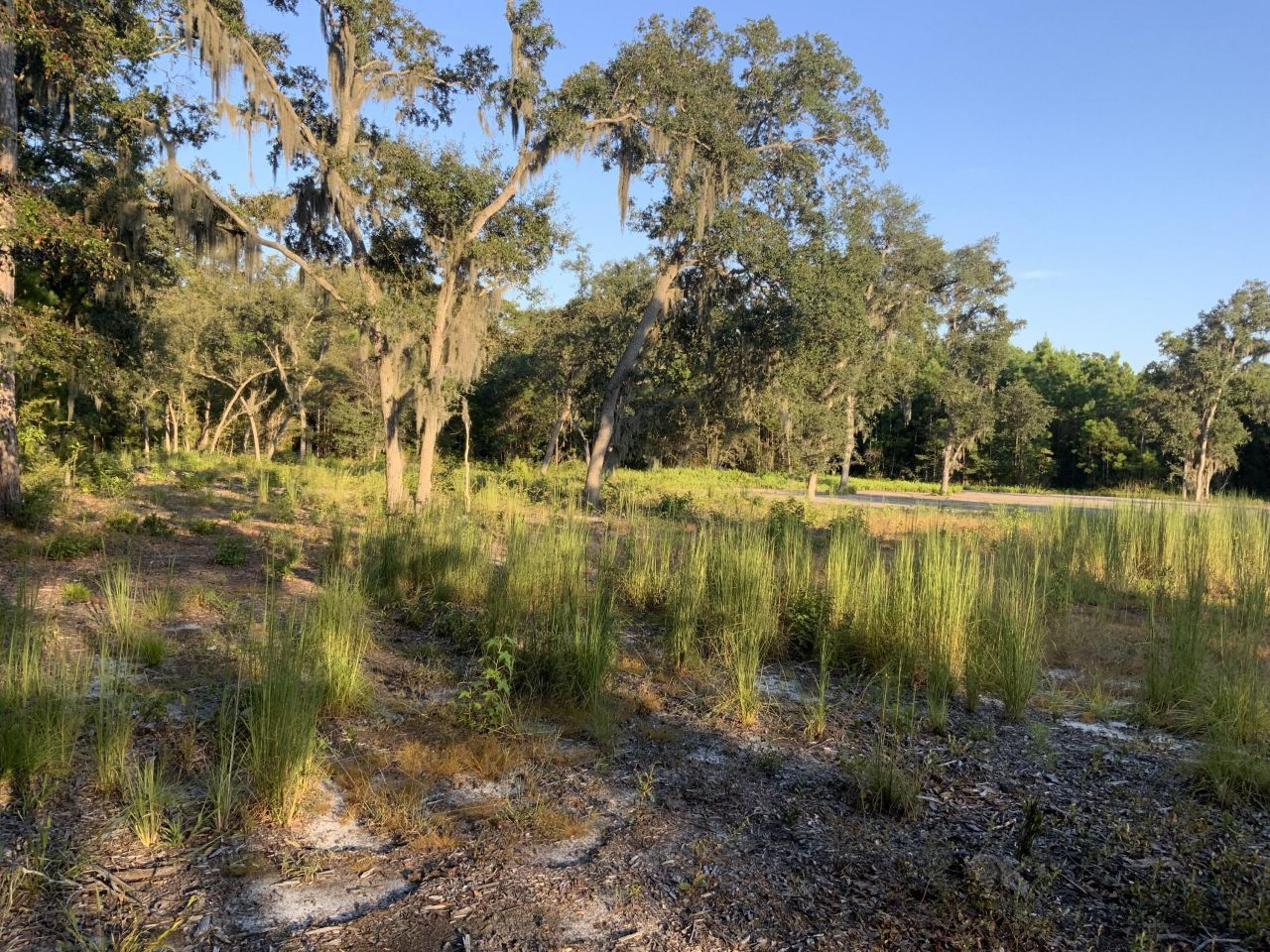 278 Dulamo Road Photo 5