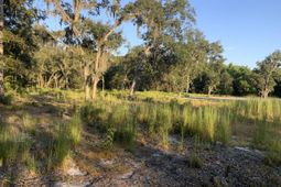 278 Dulamo Road photo 4