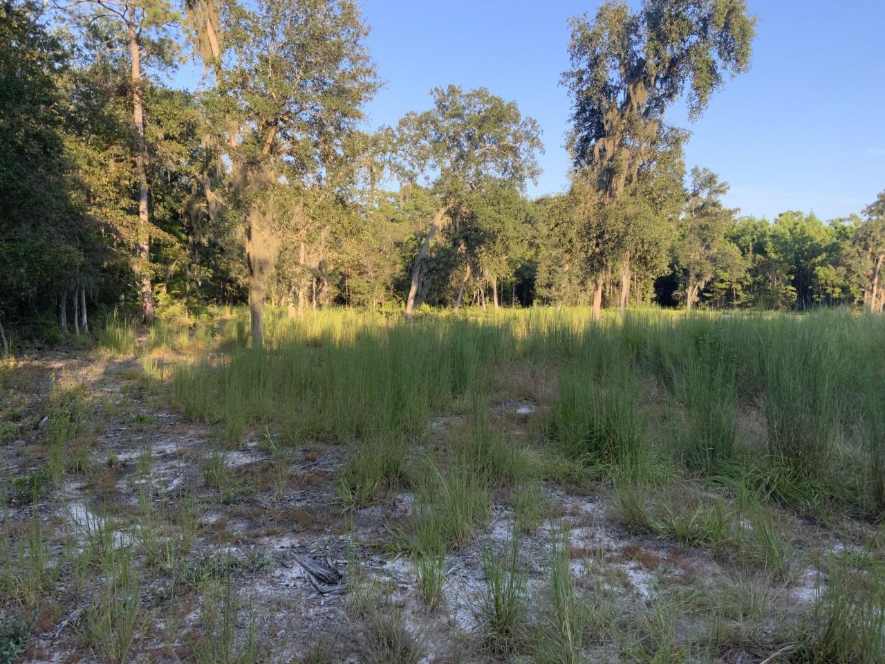 278 Dulamo Road Photo 6