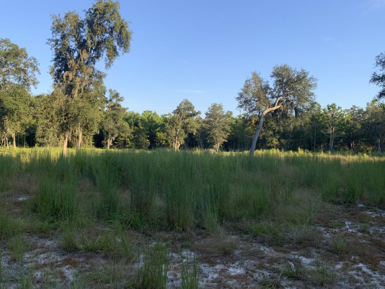 278 Dulamo Road Photo 7