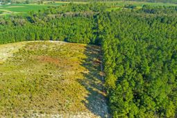 Tbd Tansy Rd. photo 4