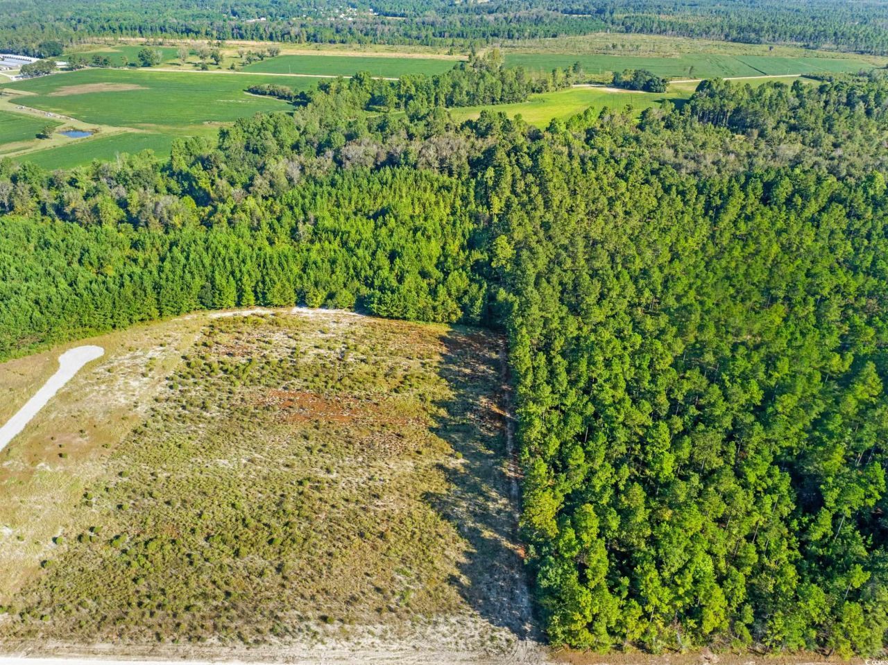 Tbd Tansy Rd. Photo 4